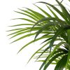 Kentia en pot blanc - H100/150cm – Image 2